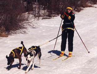 Hannun Shi'Rayan beim Skijoring Alaskan Huski Freund Marley, Besitzer Kathy Pickett & Dominique C. de Caprona, Foto Cynthia Curtis 1999