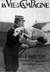 " The Sloughi Incomparable Runner and Jumper” La Vie a la Campagne 1911