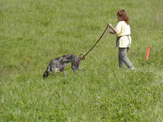 Strom tracking with owner Ellen Brady