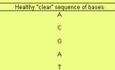 Our Dogs DNA