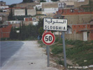 Sloughia